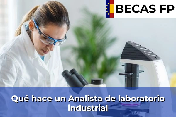 Qué hace un Analista de laboratorio industrial