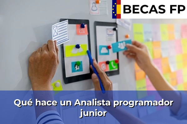 Qué hace un Analista programador junior