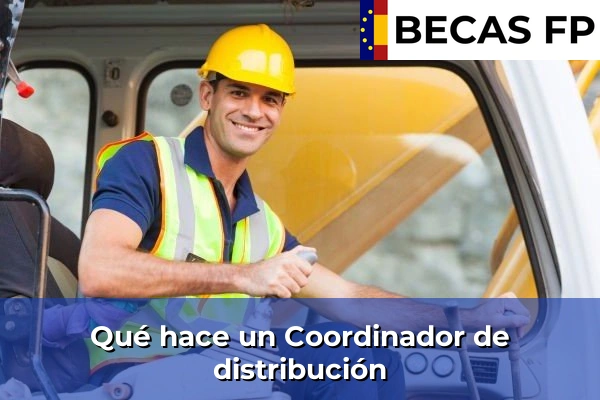 Qué hace un Coordinador de distribución