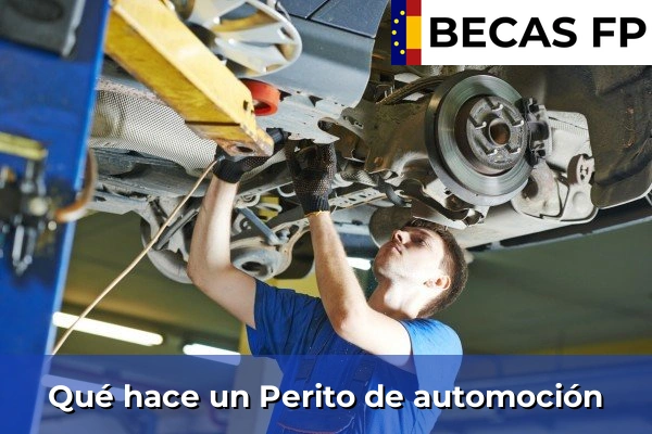 Qué hace un Perito de automoción