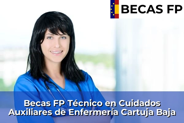 Becas FP Técnico en Cuidados Auxiliares de Enfermería en Cartuja Baja
