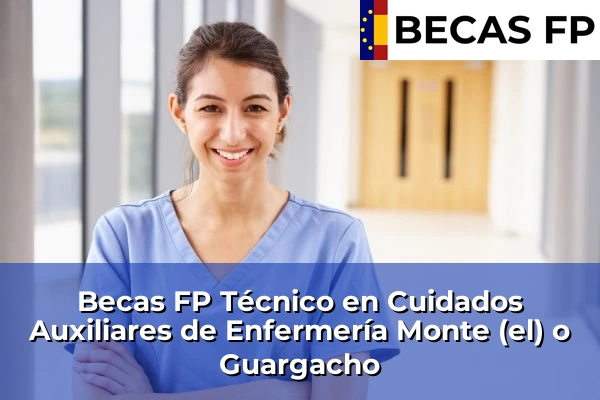Becas FP Técnico en Cuidados Auxiliares de Enfermería en Monte (el) o Guargacho