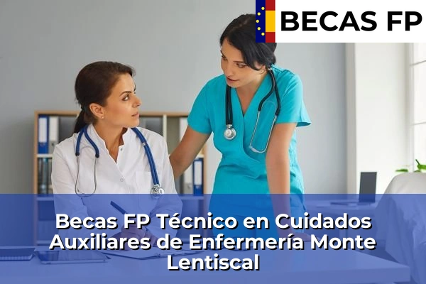Becas FP Técnico en Cuidados Auxiliares de Enfermería en Monte Lentiscal