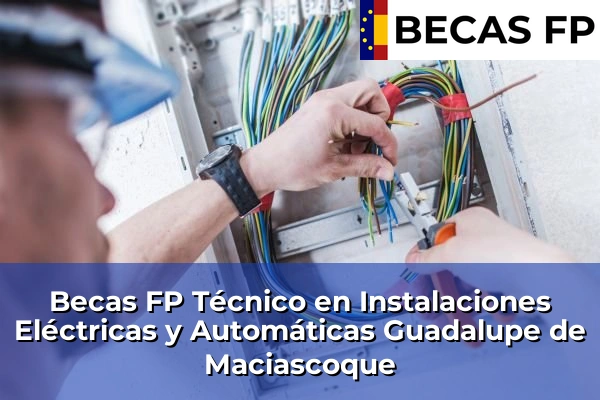 Becas FP Técnico en Instalaciones Eléctricas y Automáticas en Guadalupe de Maciascoque