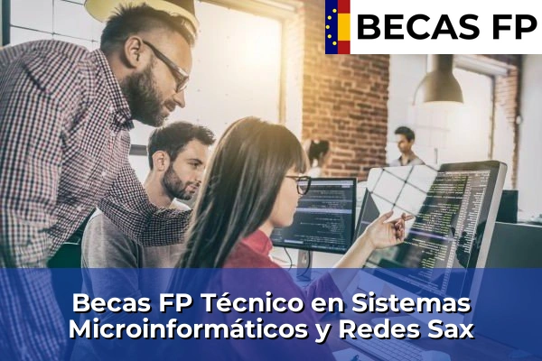 Becas FP Técnico en Sistemas Microinformáticos y Redes en Alicante 79 Becas FP Técnico en Sistemas Microinformáticos y Redes en Sax