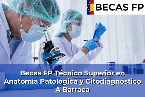 Becas FP Técnico Superior en Anatomía Patológica y Citodiagnóstico en A Barraca