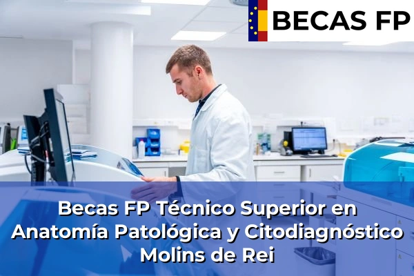 Becas FP Técnico Superior en Anatomía Patológica y Citodiagnóstico en Barcelona 63 Becas FP Técnico Superior en Anatomía Patológica y Citodiagnóstico en Molins de Rei