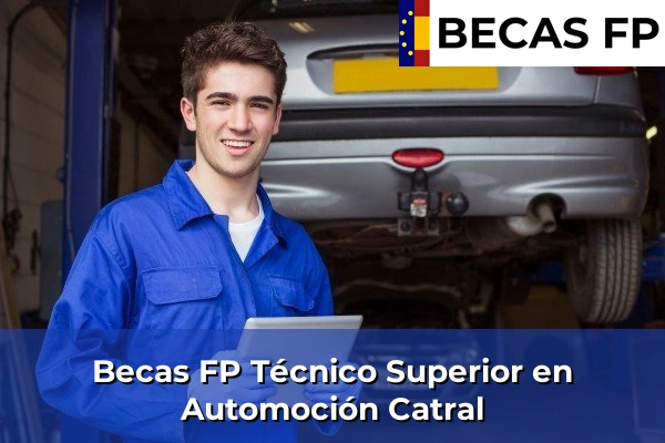 Becas FP Técnico Superior en Automoción en Catral
