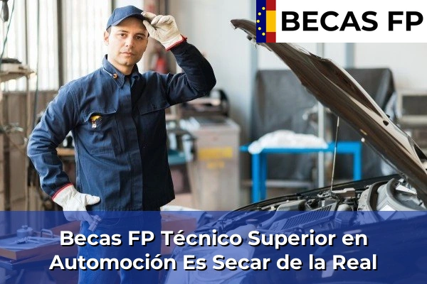 Becas FP Técnico Superior en Automoción en Baleares 16 Becas FP Técnico Superior en Automoción en Es Secar de la Real
