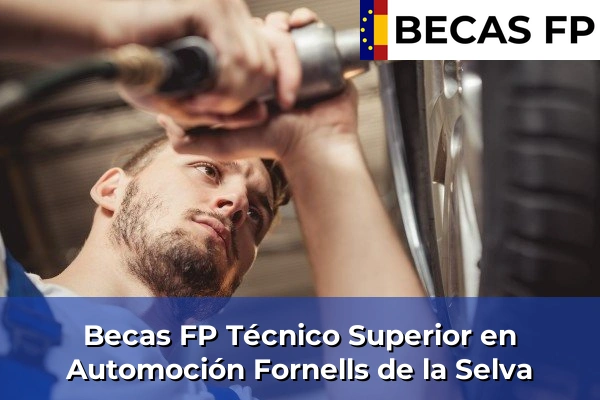 Becas FP Técnico Superior en Automoción en Fornells de la Selva