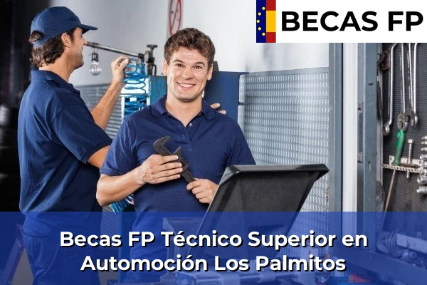 Becas FP Técnico Superior en Automoción en Los Palmitos