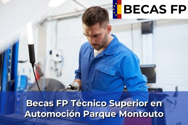 Becas FP Técnico Superior en Automoción en Parque Montouto