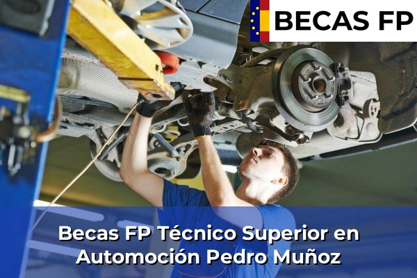 Becas FP Técnico Superior en Automoción en Pedro Muñoz