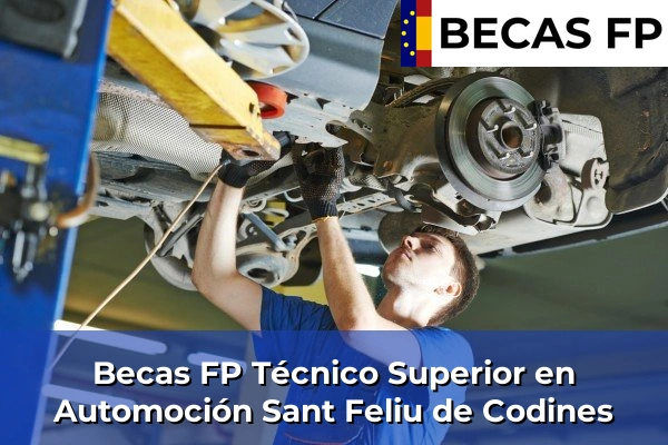 Becas FP Técnico Superior en Automoción en Sant Feliu de Codines