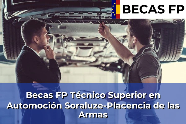 Becas FP Técnico Superior en Automoción en Soraluze-Placencia de las Armas