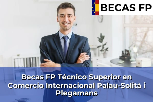 Becas FP Técnico Superior en Comercio Internacional en Barcelona 75 Becas FP Técnico Superior en Comercio Internacional en Palau-Solità i Plegamans