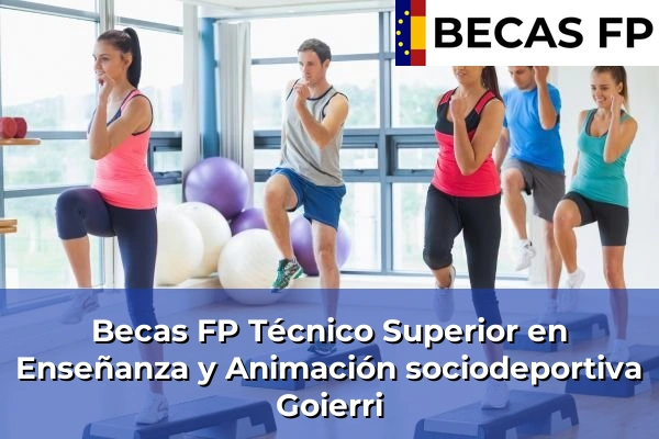 Becas FP Técnico Superior en Enseñanza y Animación sociodeportiva en Vizcaya 32 Becas FP Técnico Superior en Enseñanza y Animación sociodeportiva en Goierri