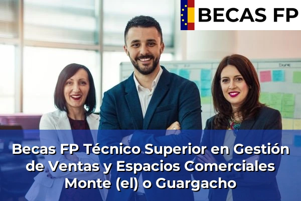 Becas FP Técnico Superior en Gestión de Ventas y Espacios Comerciales en Monte (el) o Guargacho