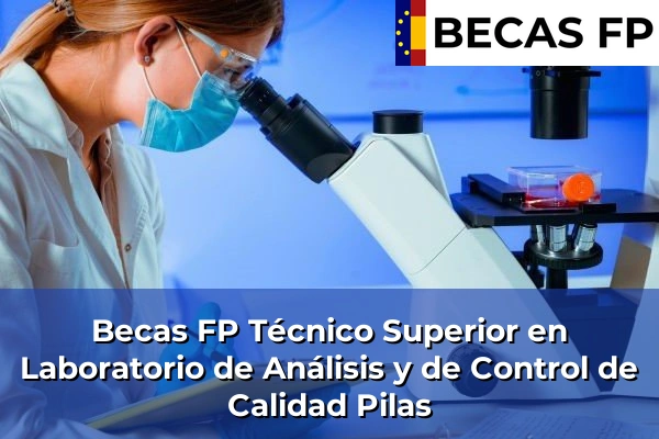 Becas FP Técnico Superior en Laboratorio de Análisis y de Control de Calidad en Pilas