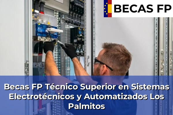 Becas FP Técnico Superior en Sistemas Electrotécnicos y Automatizados en Los Palmitos