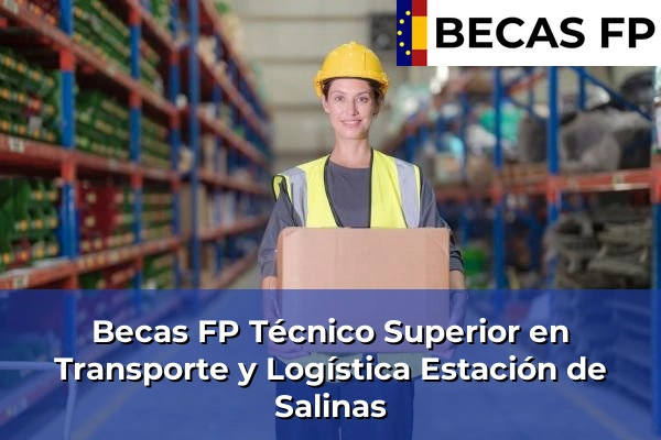Becas FP Técnico Superior en Transporte y Logística en Estación de Salinas