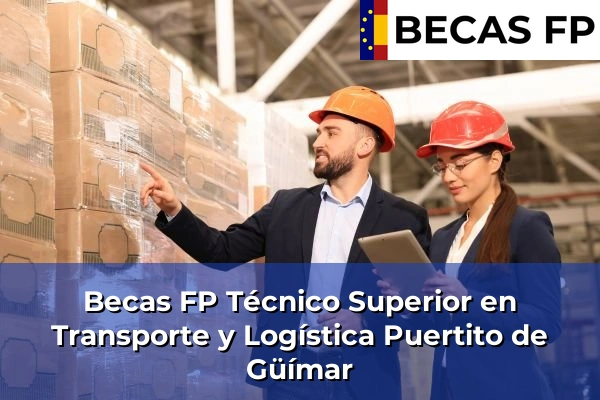 Becas FP Técnico Superior en Transporte y Logística en Tenerife 39 Becas FP Técnico Superior en Transporte y Logística en Puertito de Güímar