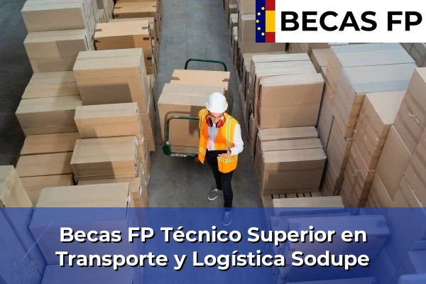 Becas FP Técnico Superior en Transporte y Logística en Vizcaya 58 Becas FP Técnico Superior en Transporte y Logística en Sodupe